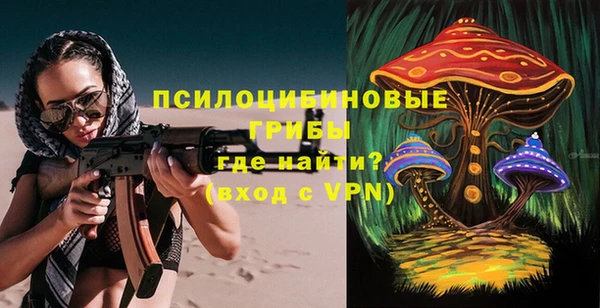прущие крисы Приозерск