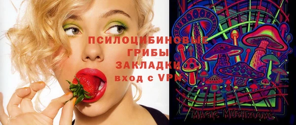 прущая мука Абаза