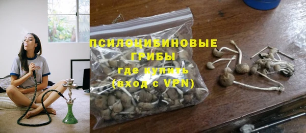 прущие крисы Приозерск