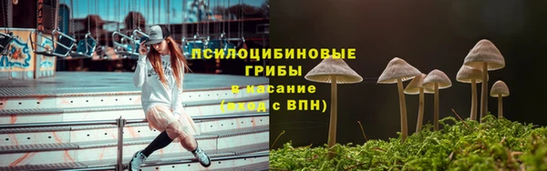 мдма Пролетарск
