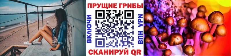 Галлюциногенные грибы Psilocybe  Ивантеевка 